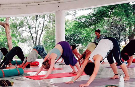 Hatha Yoga-Training-Rishikesh 200 Hours Yoga Teacher Training Rishikesh