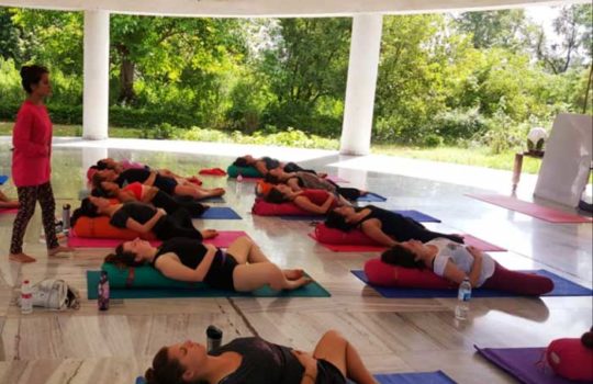 Hatha-Yoga-training-India